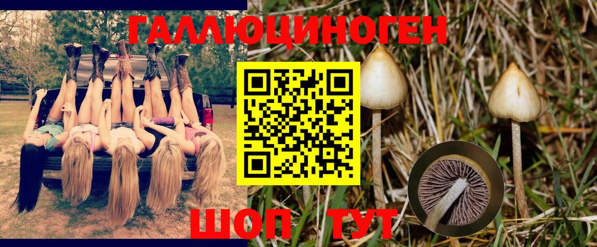 Углич  Галлюциногенные грибы ЛСД  Вход с VPN 